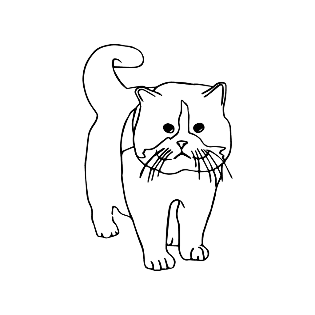 ねっこ