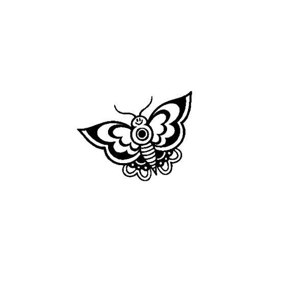 Fly