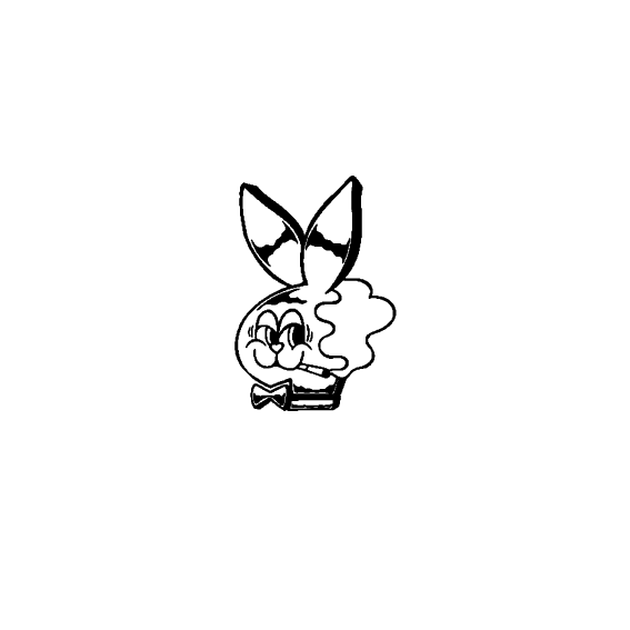 Play bunny
