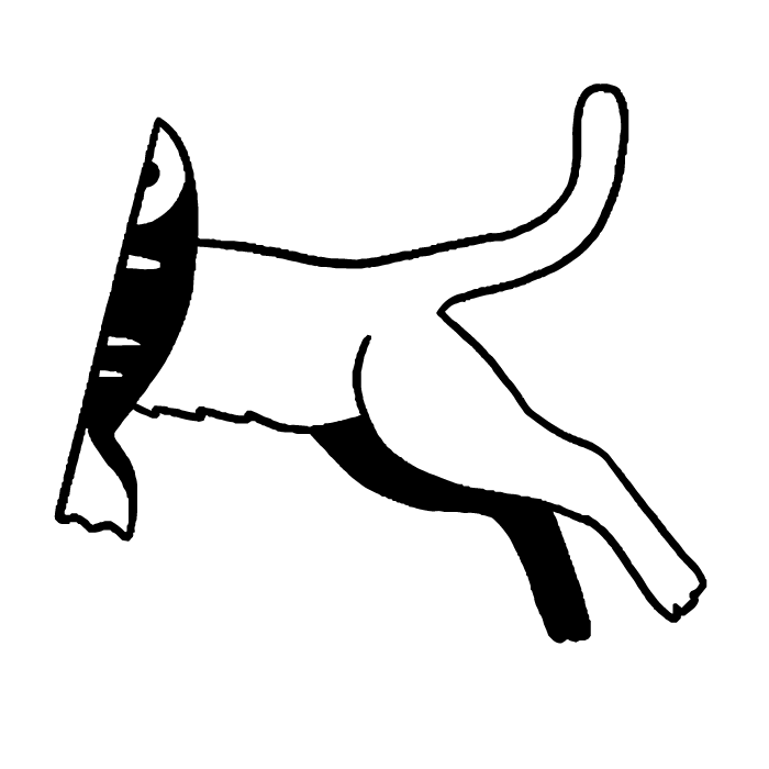 カティー