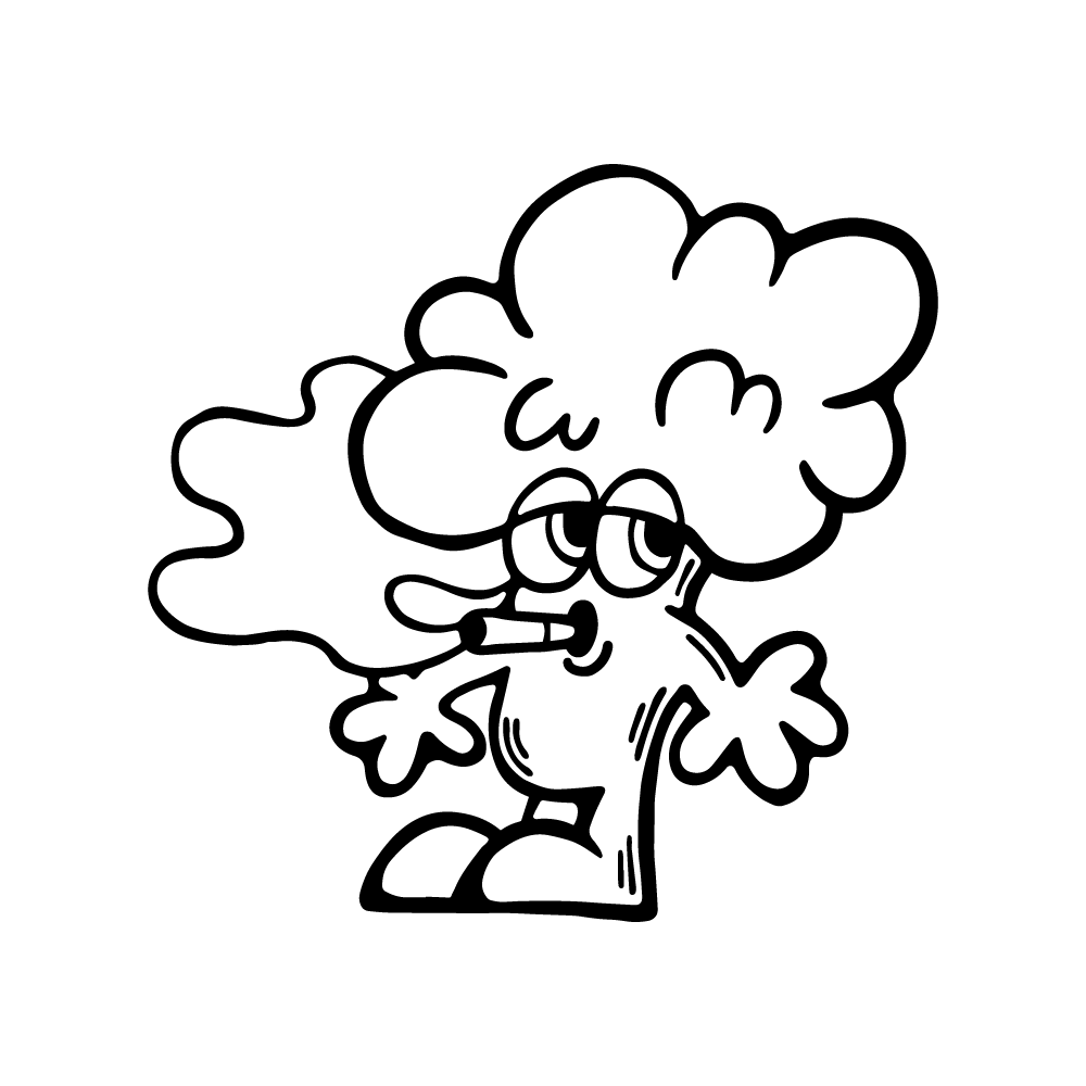 MR BROCCOLI