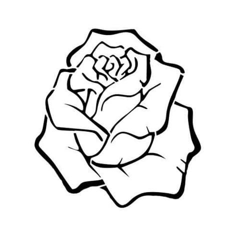 Rosoideae - インクボックス ジャパン