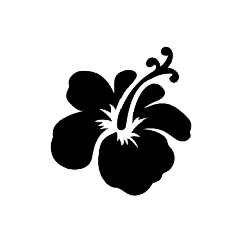 ハイビスカス