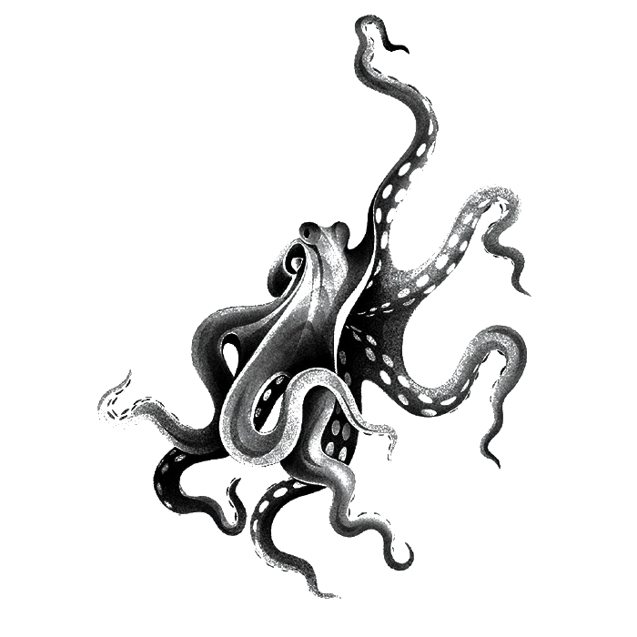 ポウルペ